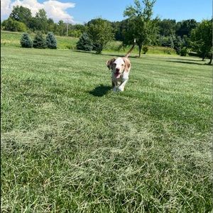 Meet your Posher, Trinity